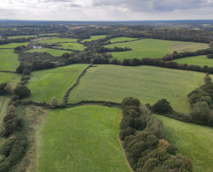 East Sussex farmland with sporting potential hits market
