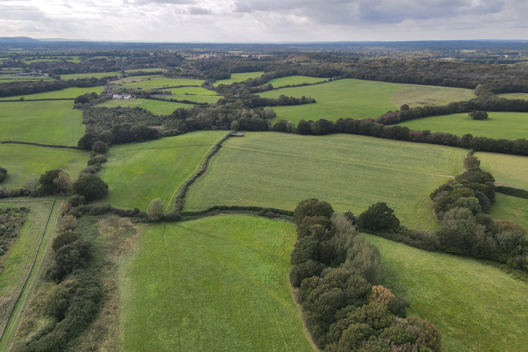 East Sussex farmland with sporting potential hits market