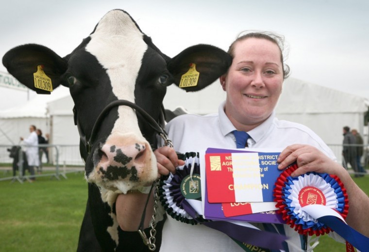 Holstein breeders take top show prizes