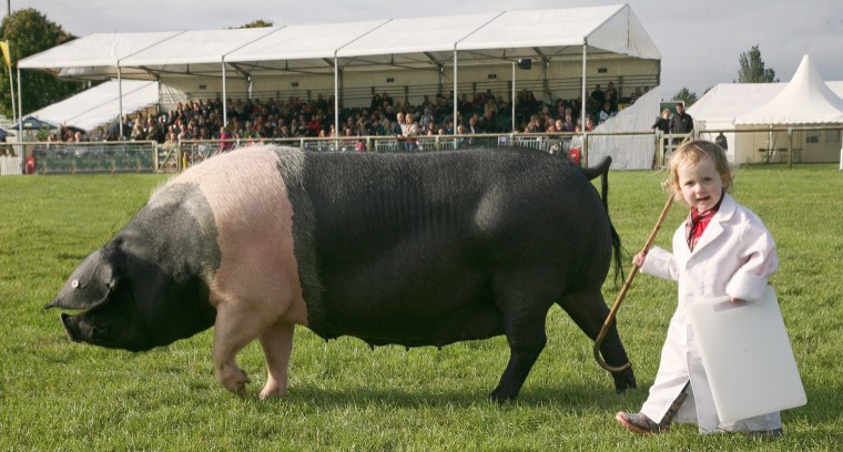 Farmers out in force