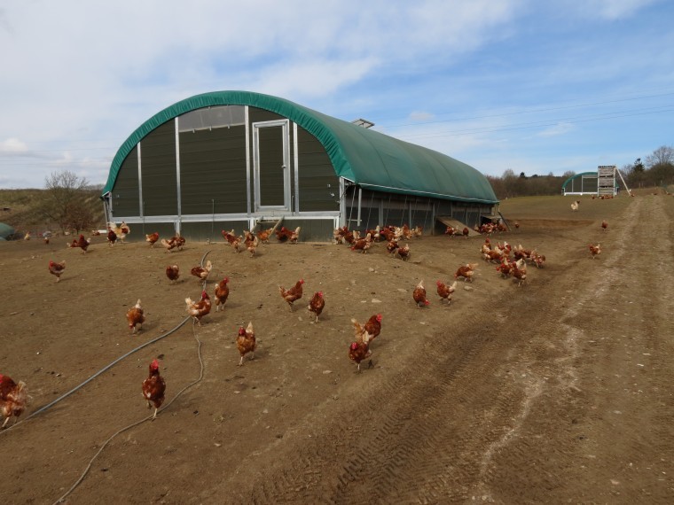 Couple made a tricky start in farming