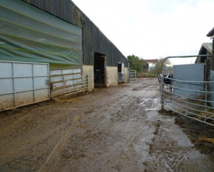 Surrey livestock farm to let