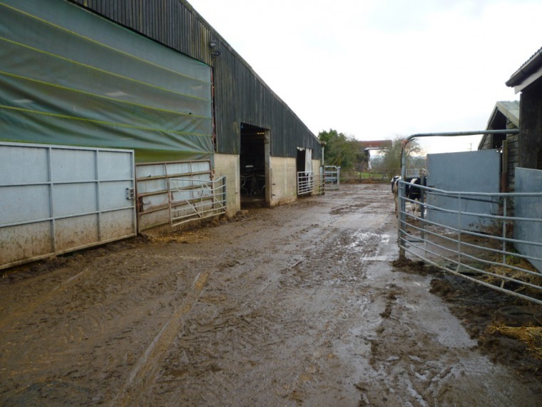 Surrey livestock farm to let