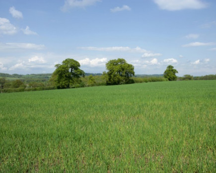 Land near Sevenoaks