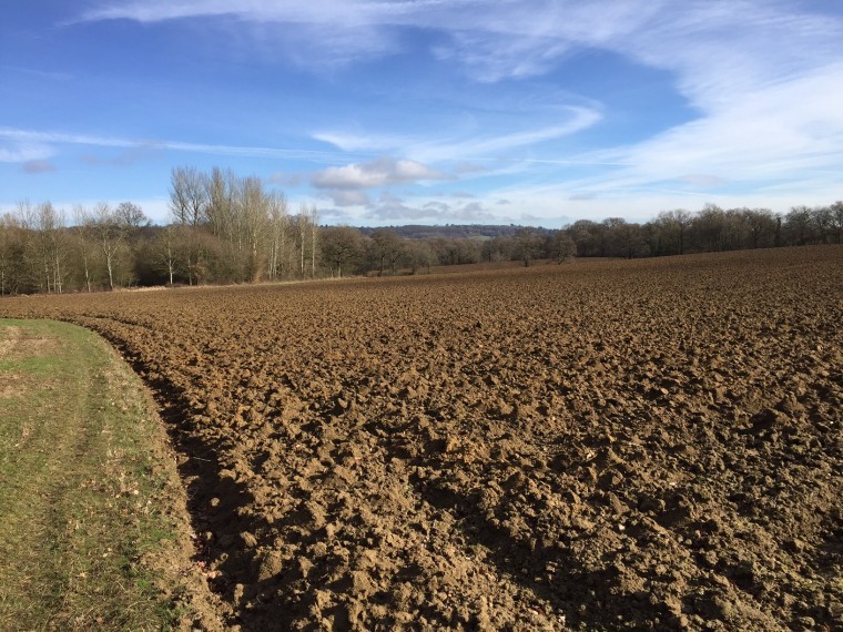 Arable, pasture and woodland