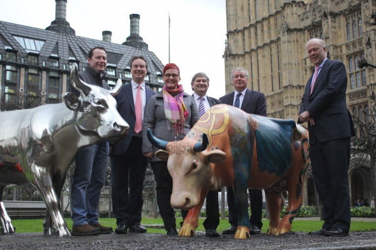 Cow parade leads to new festival