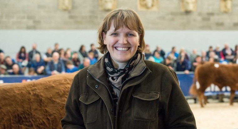 Limousin increases number of genetic evaluations