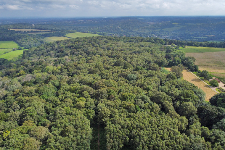 Carbon offsetting opportunity in Surrey Hills