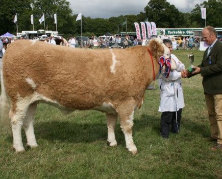 Terrific family day out at Cranleigh Show