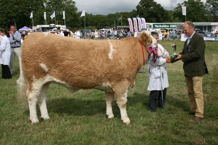 Terrific family day out at Cranleigh Show