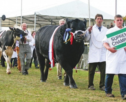 New livestock facilities boost show