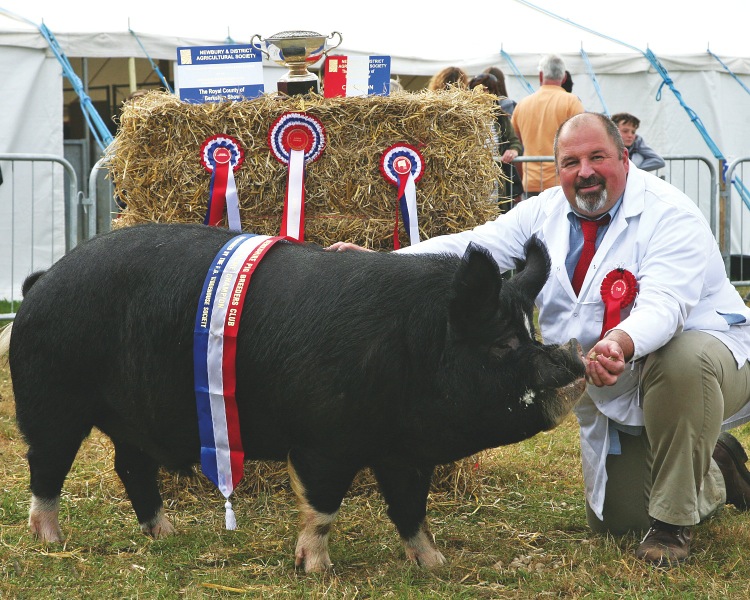 Survey shows British pig producers making quantum leap in biosecurity