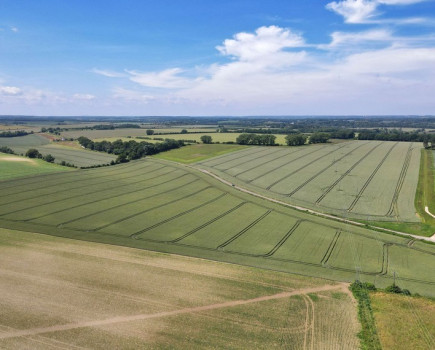 Versatile arable farm