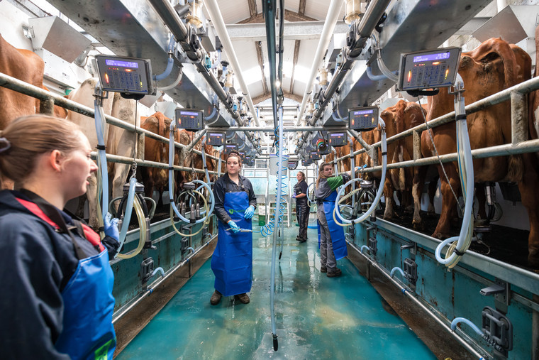 College invests in milking parlour