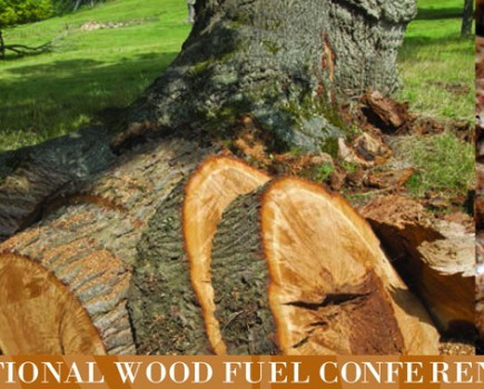 National Wood Fuel Conference