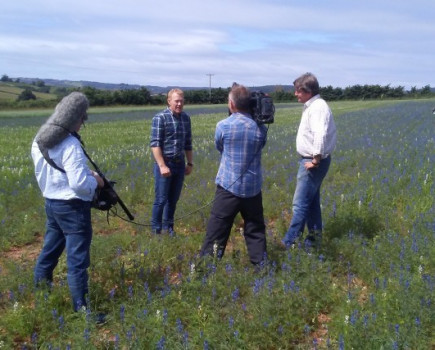 Organic Lupin trails get thumbs up