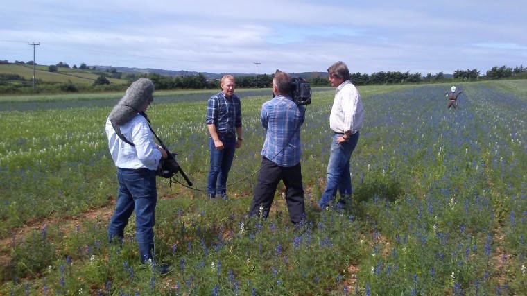 Organic Lupin trails get thumbs up