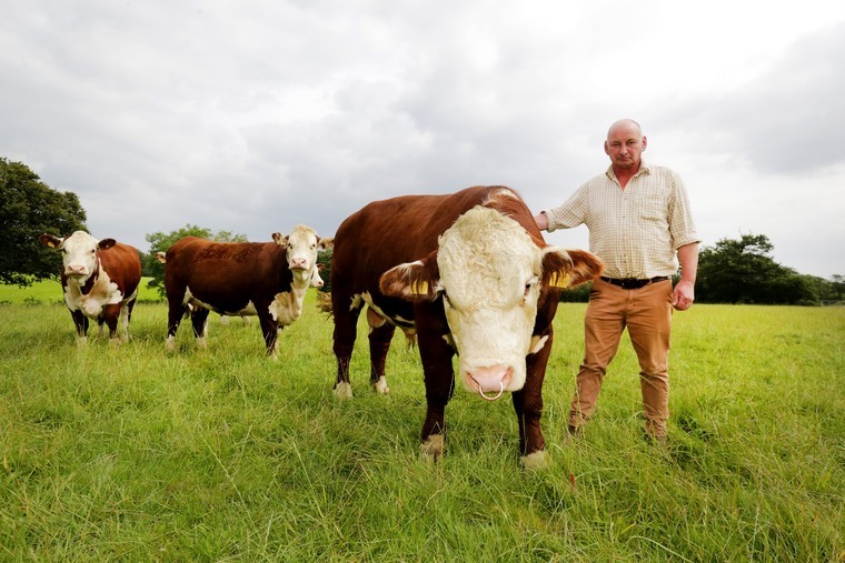 New farm assurance status caps off years of rejuvenation work