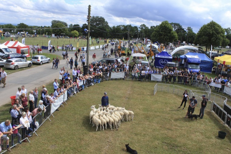 Top young shepherds prepare to compete