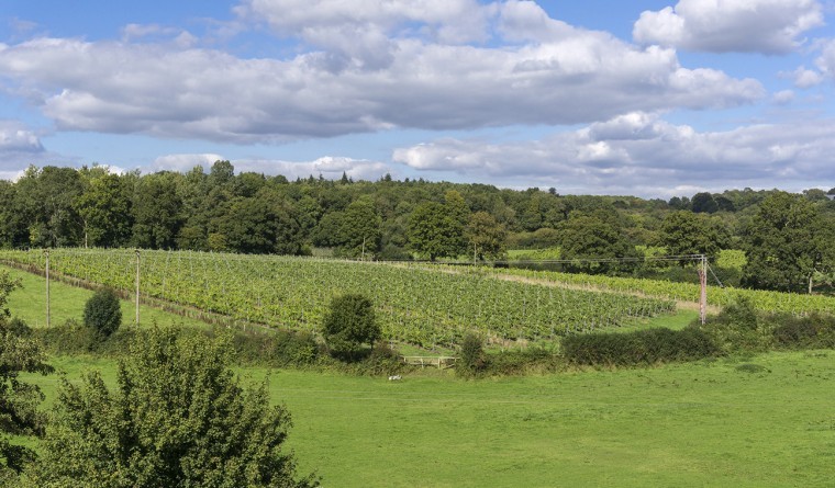 British farmland: A safe haven for investors?