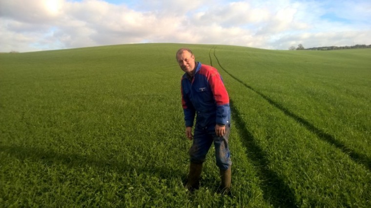 Undersow arable silage to boost 2018 forage