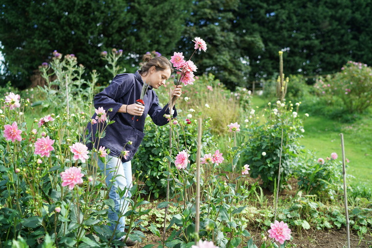 Compost pioneers