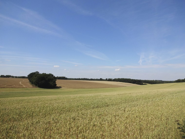 High quality farmland