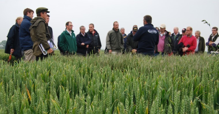 NIAB TAG brings variety and agronomy focus