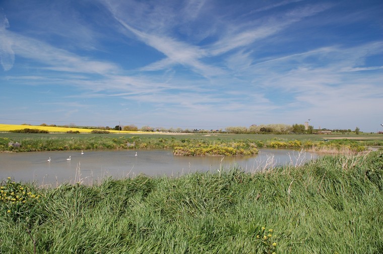 Arable land with flight pond