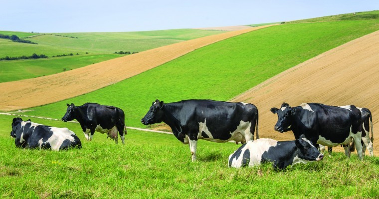 Dairy farms are packing up