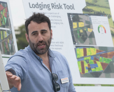 Use disease risk forecasting model to prioritise fungicide sprays