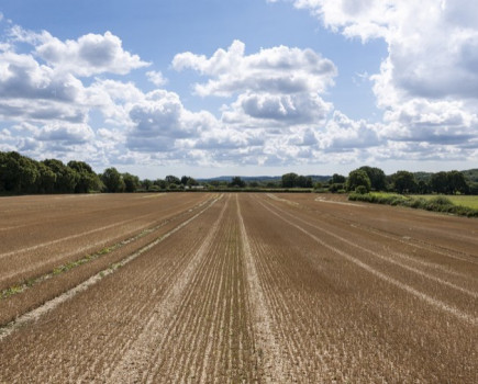 Attractive grassland and arable farm