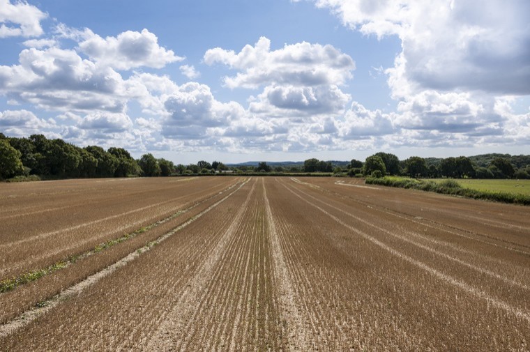 Attractive grassland and arable farm