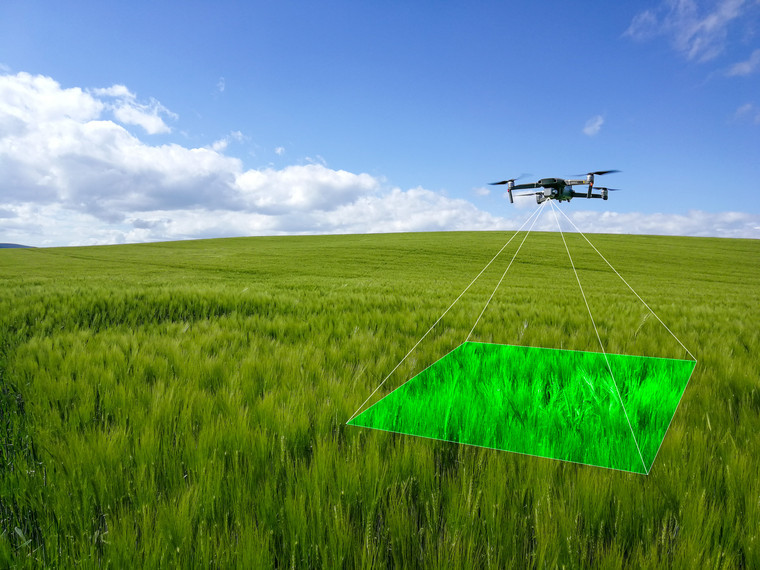 New drone technology revolutionises crop walking