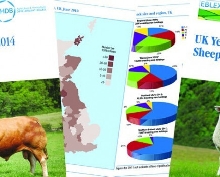 Yearbook highlights strong year for sheep meat exports