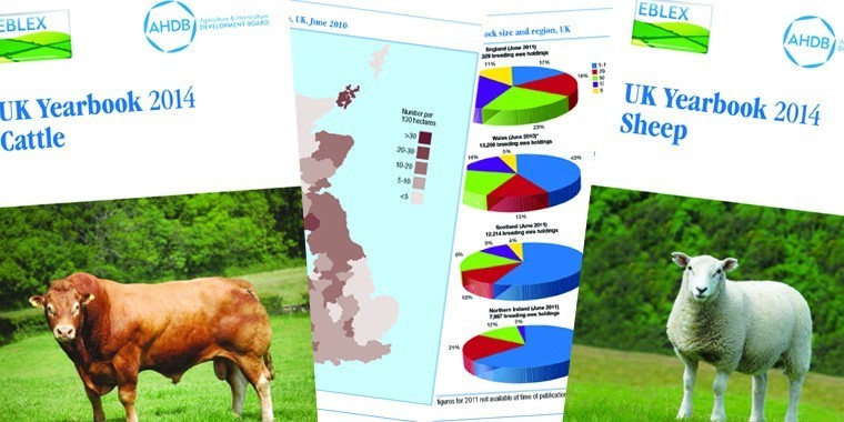 Yearbook highlights strong year for sheep meat exports