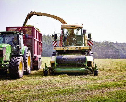 Silage analysis key to maintaining efficient costs