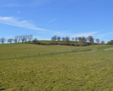 Farm close to the M25