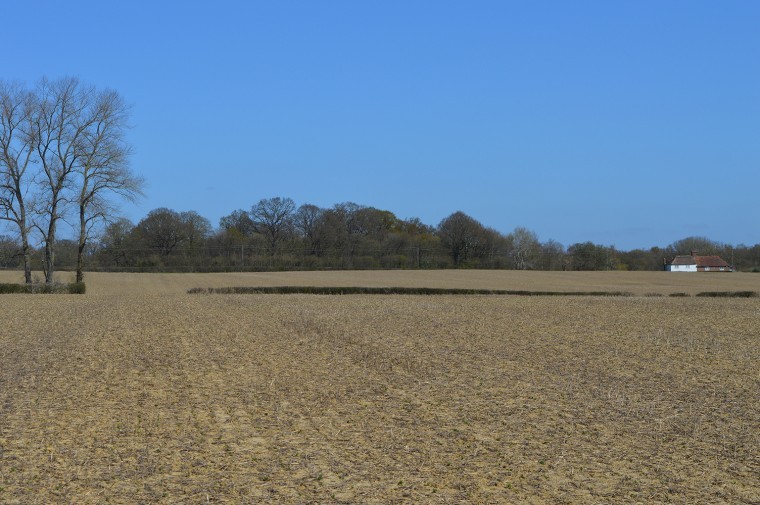 Arable land with some permanent pasture