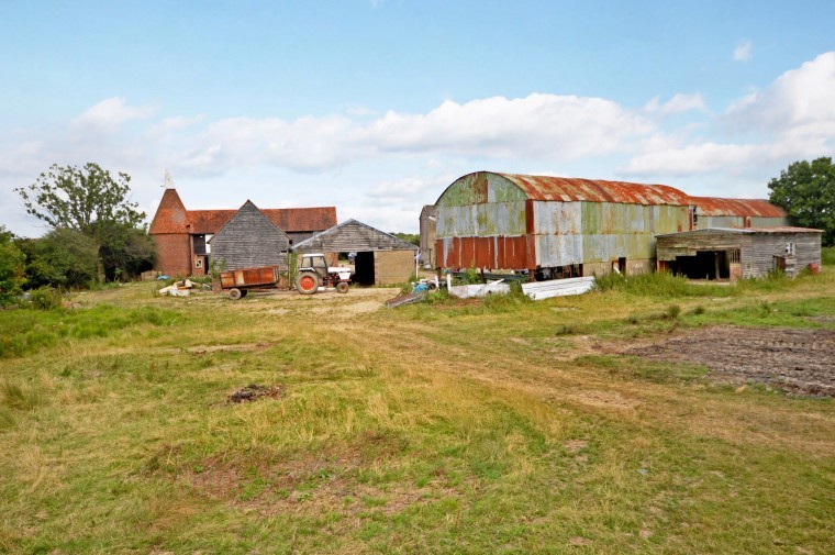 Traditional grass farm