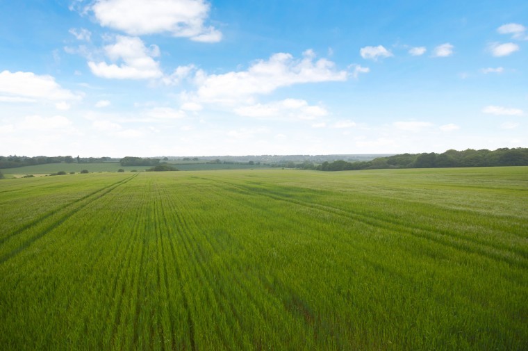 Opportunity to create a farm