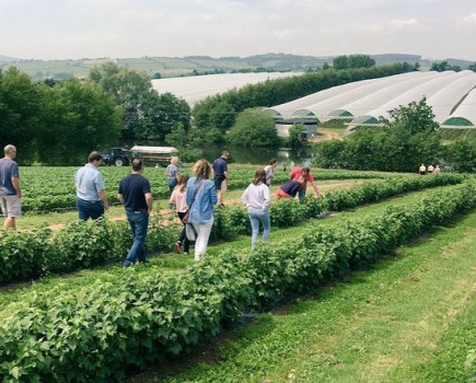 LEAF Open Farm Sunday announces plans for 2021