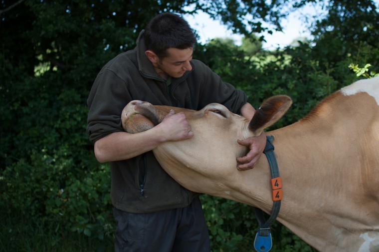 Farmers sell direct to beat the dairy crisis