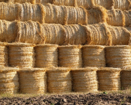 Stakes are high with underinsured haystacks