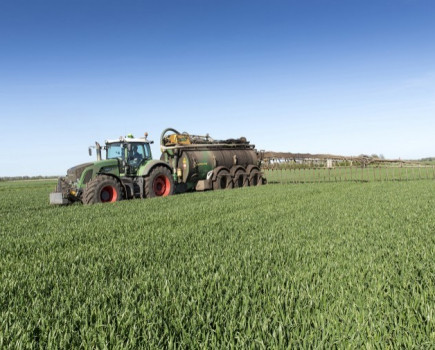Plan ahead to meet impending ammonia regulations