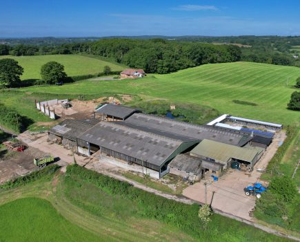 Benenden livestock farm