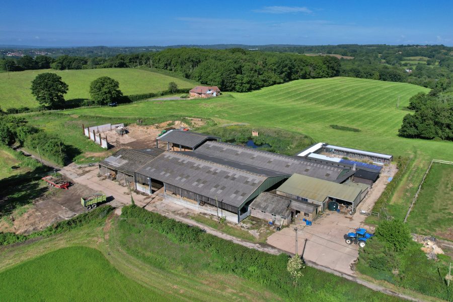 Benenden livestock farm