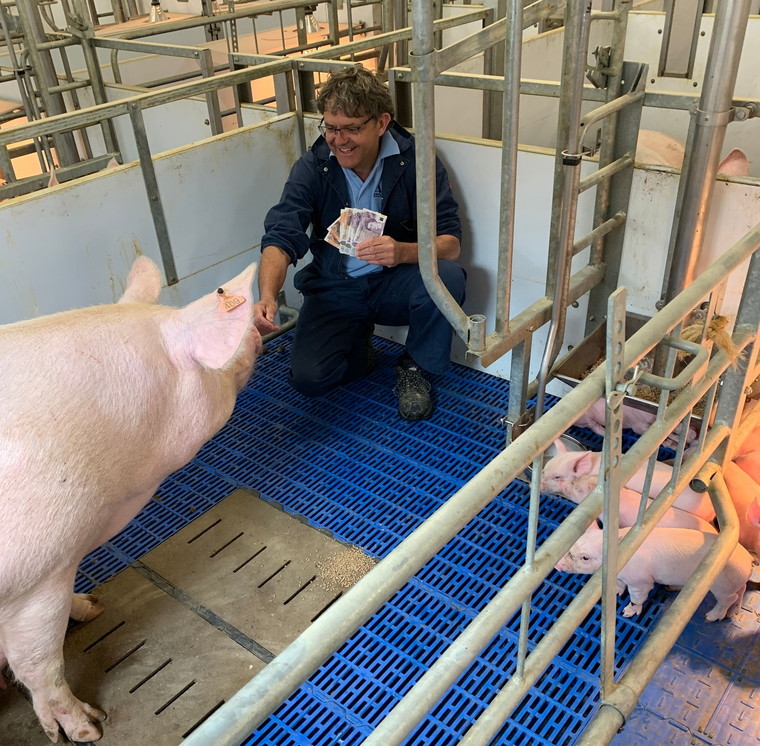 High cost of freedom farrowing systems