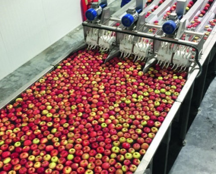 Top fruit growers warning on British apple crop volume