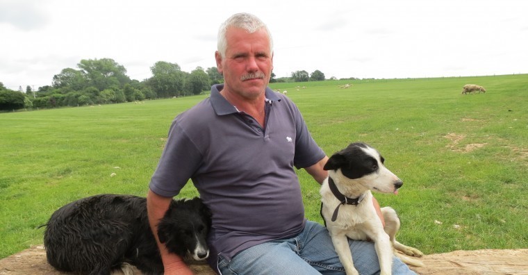 Lambing a giant sheep flock outside